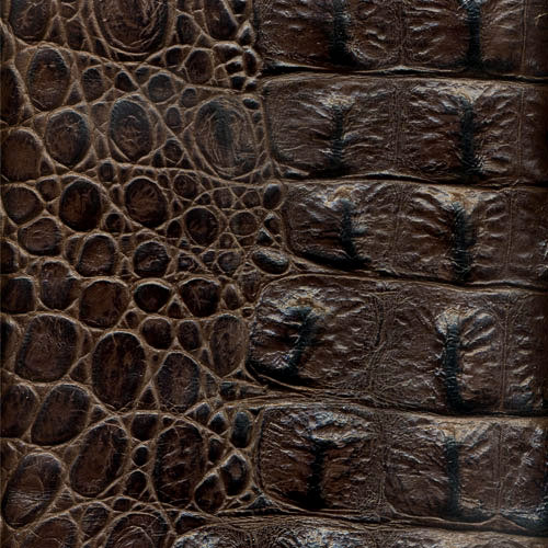 Monster Croc #01 Chestnut Brown