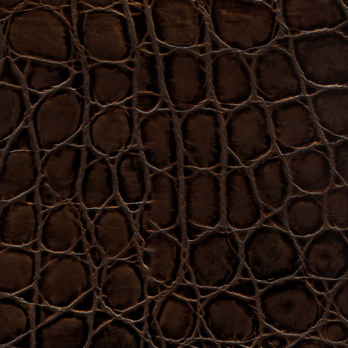 Tortoise Croc #03 Chocolate/Bronze