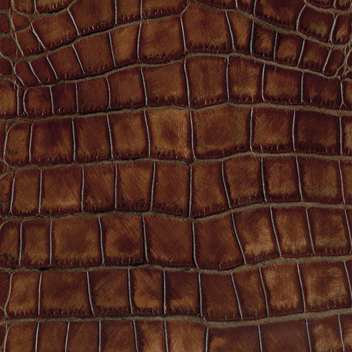 Tuscany Croc #35 Brown Sugar